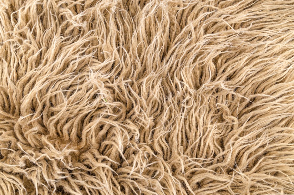Natural vs Synthetic Rug Materials: Which is Best for Your Home?